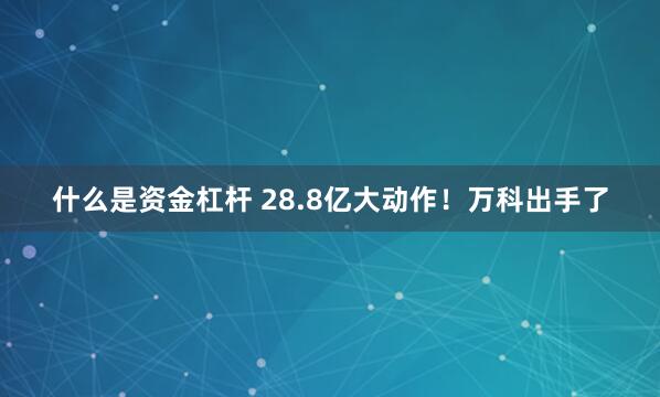 什么是资金杠杆 28.8亿大动作！万科出手了