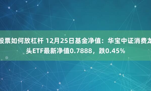 股票如何放杠杆 12月25日基金净值：华宝中证消费龙头ETF最新净值0.7888，跌0.45%