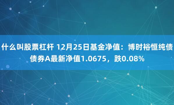 什么叫股票杠杆 12月25日基金净值：博时裕恒纯债债券A最新净值1.0675，跌0.08%