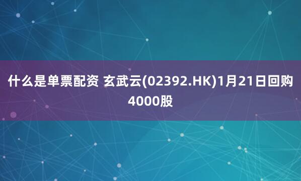 什么是单票配资 玄武云(02392.HK)1月21日回购4000股