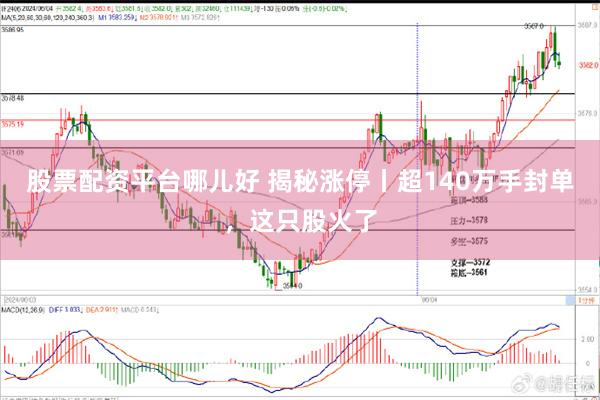 股票配资平台哪儿好 揭秘涨停丨超140万手封单，这只股火了