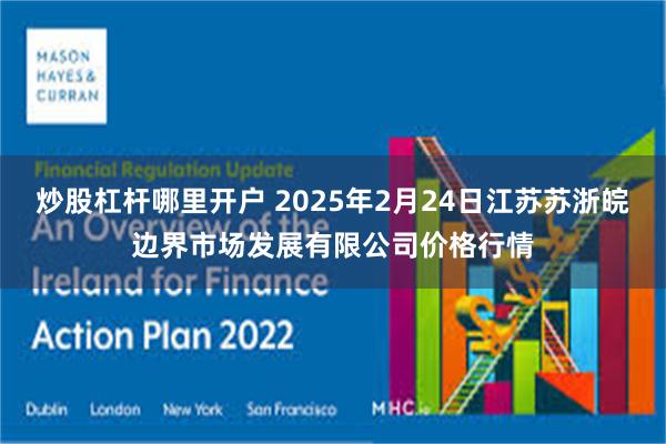 炒股杠杆哪里开户 2025年2月24日江苏苏浙皖边界市场发展有限公司价格行情